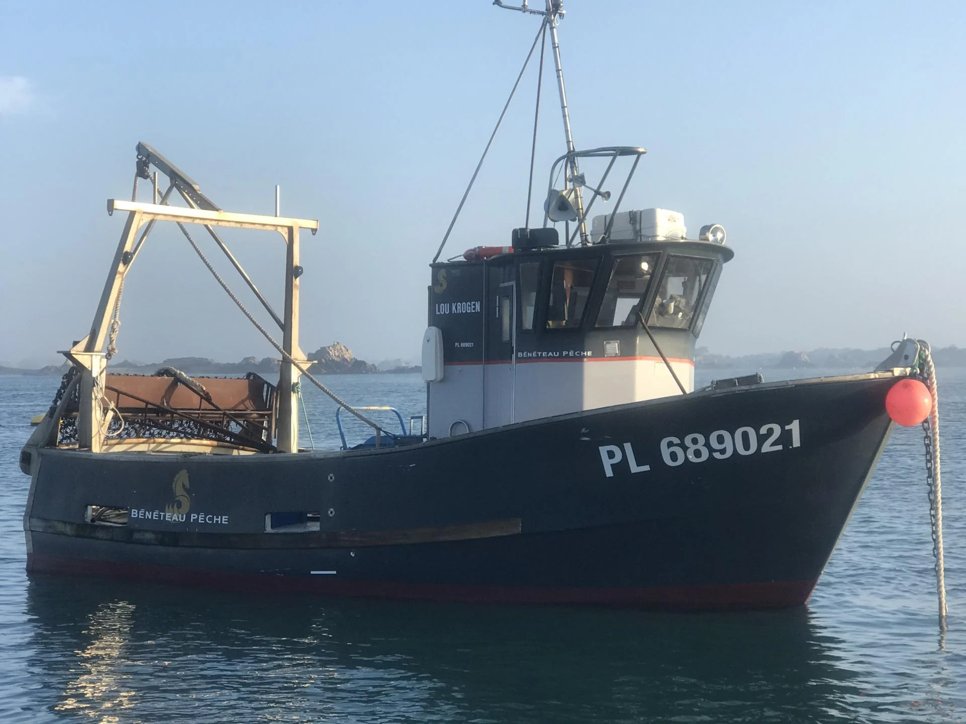 Lou krogen pl689021 en vente